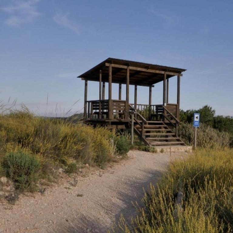 Green Oasis - Vacation Home - 26