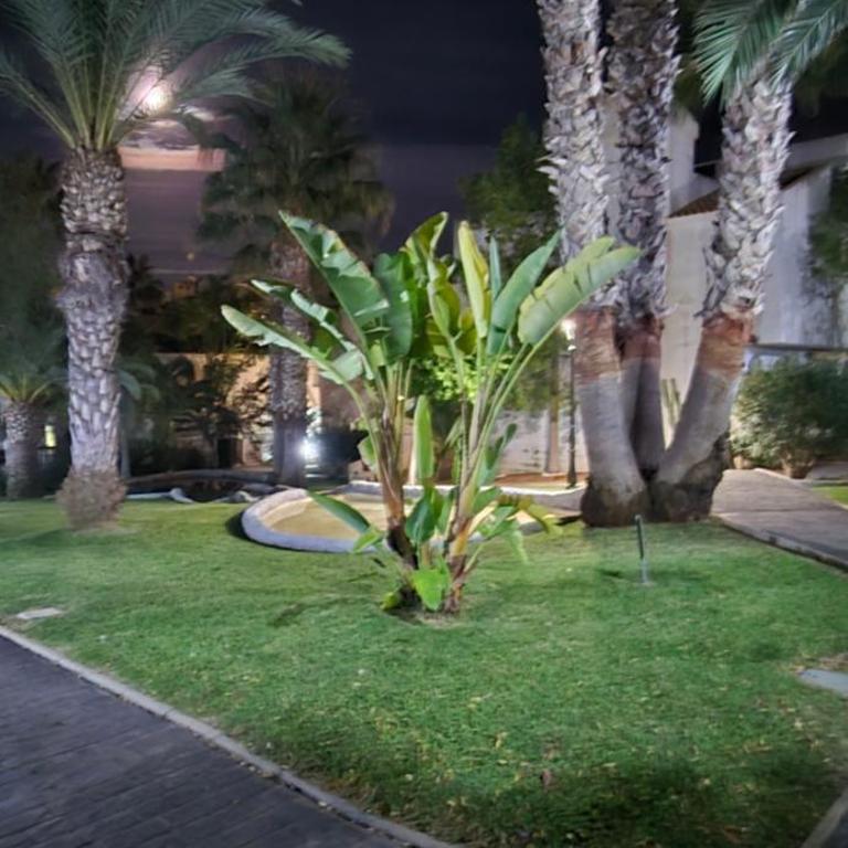 Green Oasis - Vacation Home - 23