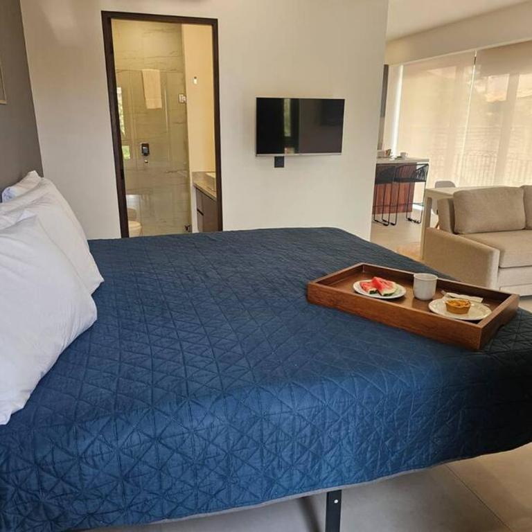 Cómodo Apartamento zona Romántica con alberca 503 - Apartamento de 1 dormitorio - 99