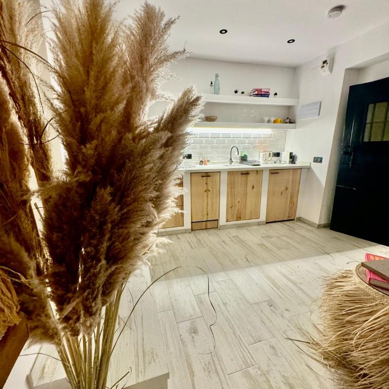 La Esquina 1B - Apartamento de 1 dormitorio - 9