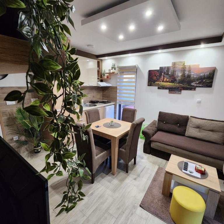 Apartman Planinski san Divčibare - Apartman sa 1 Spavaćom Sobom - 27