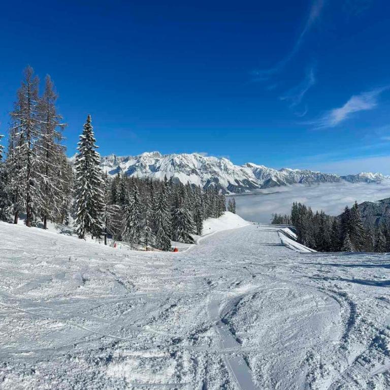 Apartments by Chalet Reiteralm - with Schladming-Dachstein Summer Card - Apartment mit 2 Schlafzimmern - 70