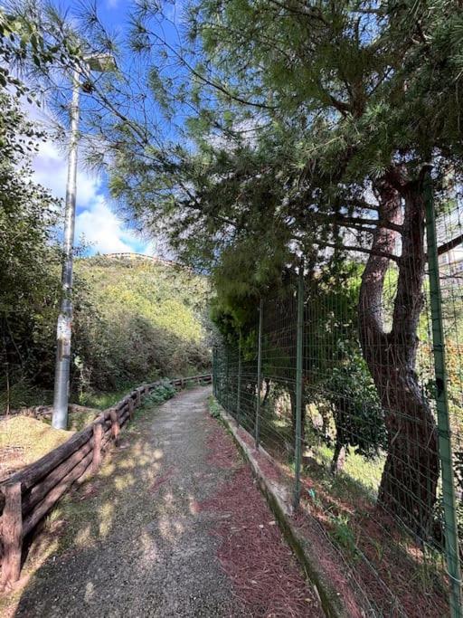 La casetta di Roby con giardino privato - Appartamento con 1 Camera da Letto - 36