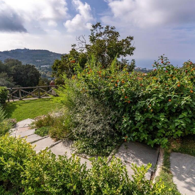 Cartenì Countryside Elegance Views and Guest Services by Feeling Italy - Villa con Vista Mare - 44