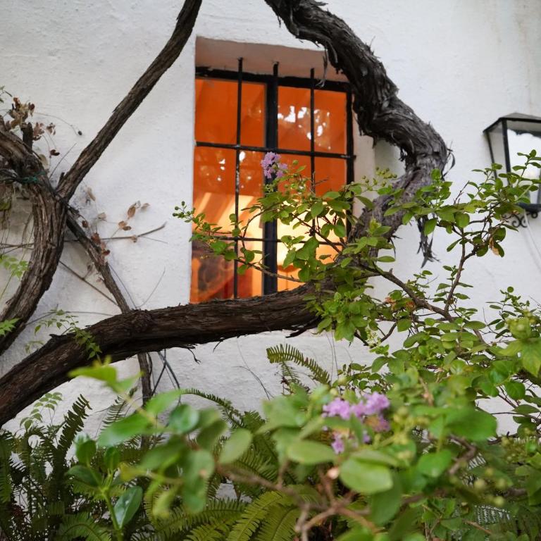 Casa La Noria en Mijas Pueblo - Casa con 4 camere da letto - 26