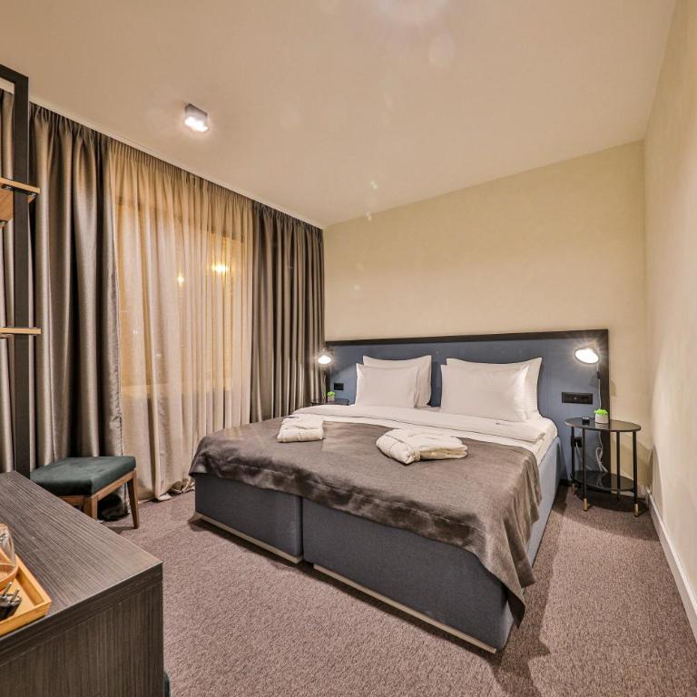 Hotel Botanica - Deluks Soba sa Bračnim Krevetom/Zasebnim Krevetima - Aneks - 4