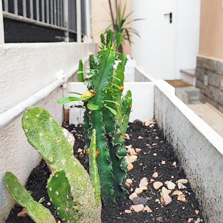 Residenza BiblioSosta - One-Bedroom Apartment - 12
