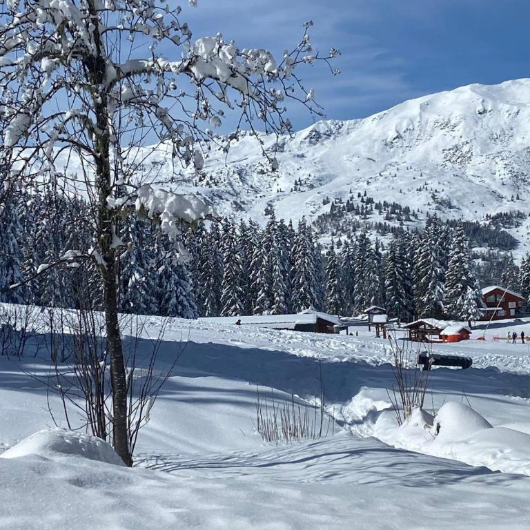 Studio à Méribel : ski aux pieds, balcon, Wi-Fi et parking - FR-1-688-32 - Studio - 11
