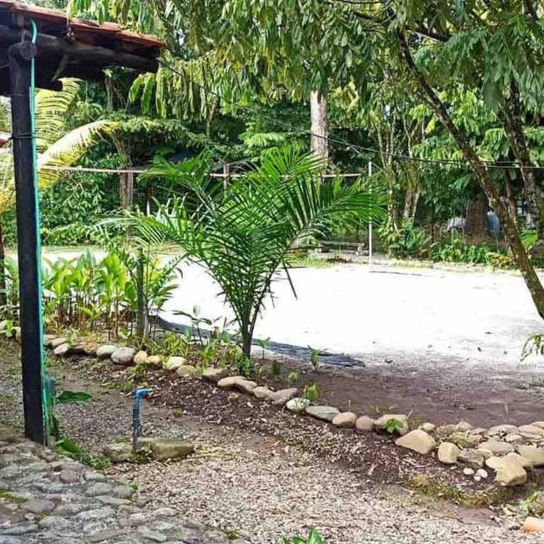 Relájate en el llano Piscina privada y naturaleza - Villa - 10
