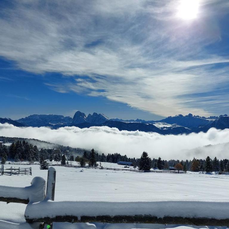 HAUSERHOF Farmhouse with Dolomite View - Apartment mit Gartenblick - 69