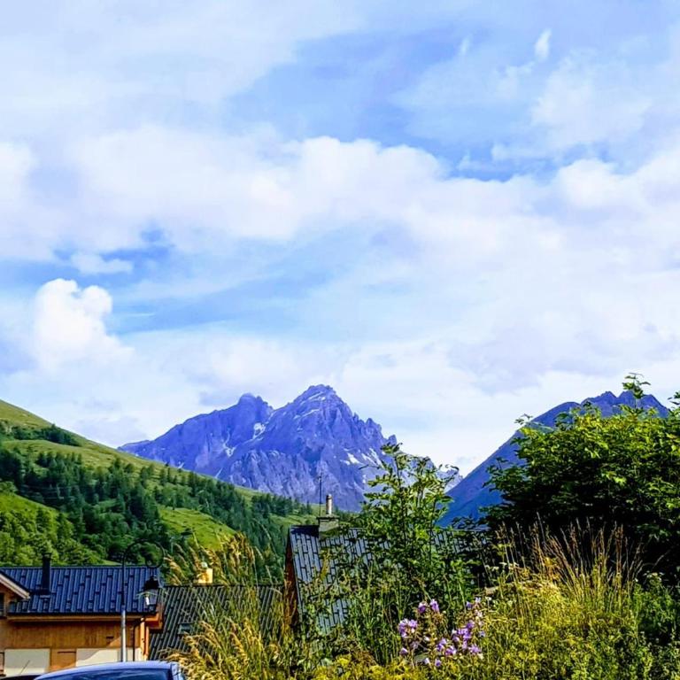 Chalet duplex 6 chambres, sauna, jacuzzi, balcons sud, parking, proche pistes et golf - FR-1-263-337 - Apartment (15 adults) - 21