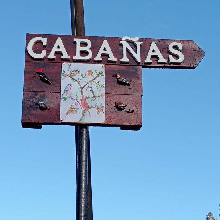 Cabaña Los Pajaritos dos de Frutillar - Casa con 1 dormitorio - 2