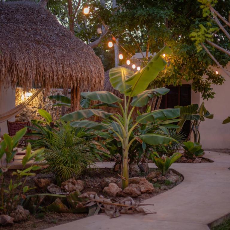 Casa Cactus Buenavista - Bungalow Deluxe con vistas al jardín - 5