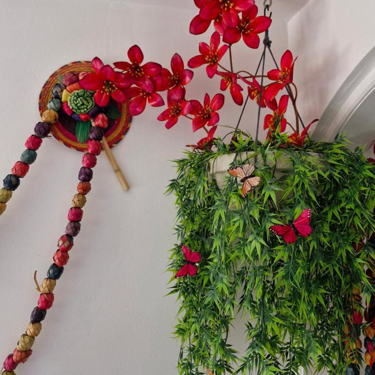 Jungle Room - One-Bedroom Apartment - 4