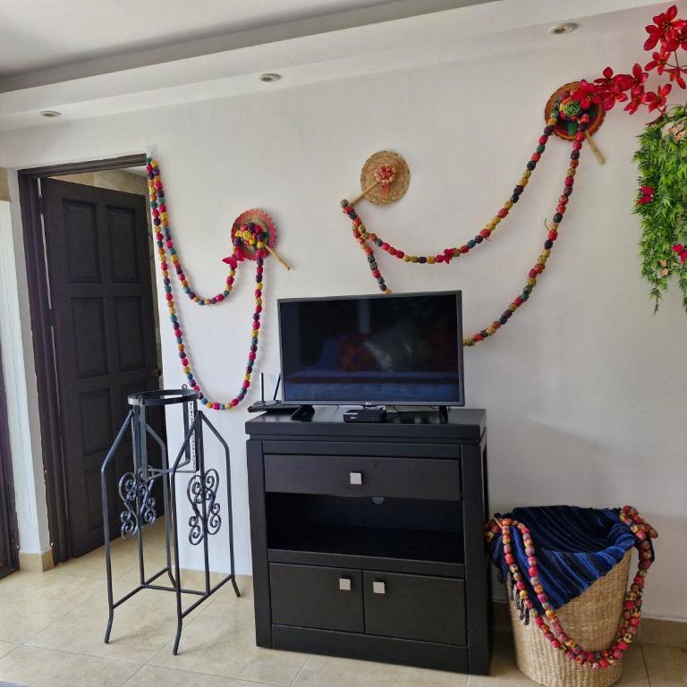 Jungle Room - One-Bedroom Apartment - 12