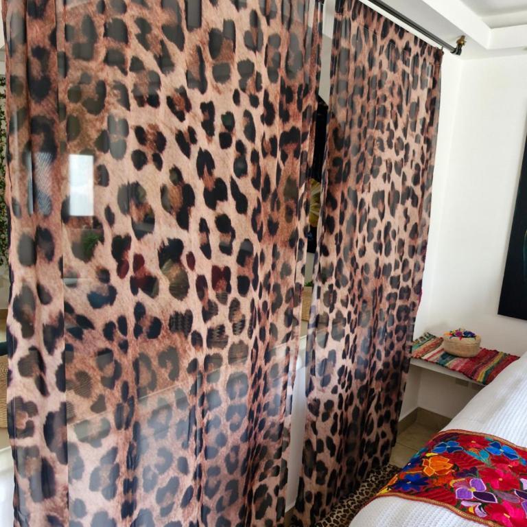 Jungle Room - One-Bedroom Apartment - 14