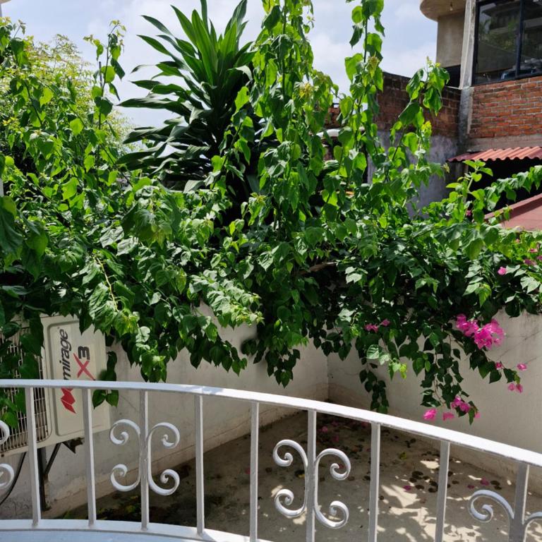 Jungle Room - One-Bedroom Apartment - 18