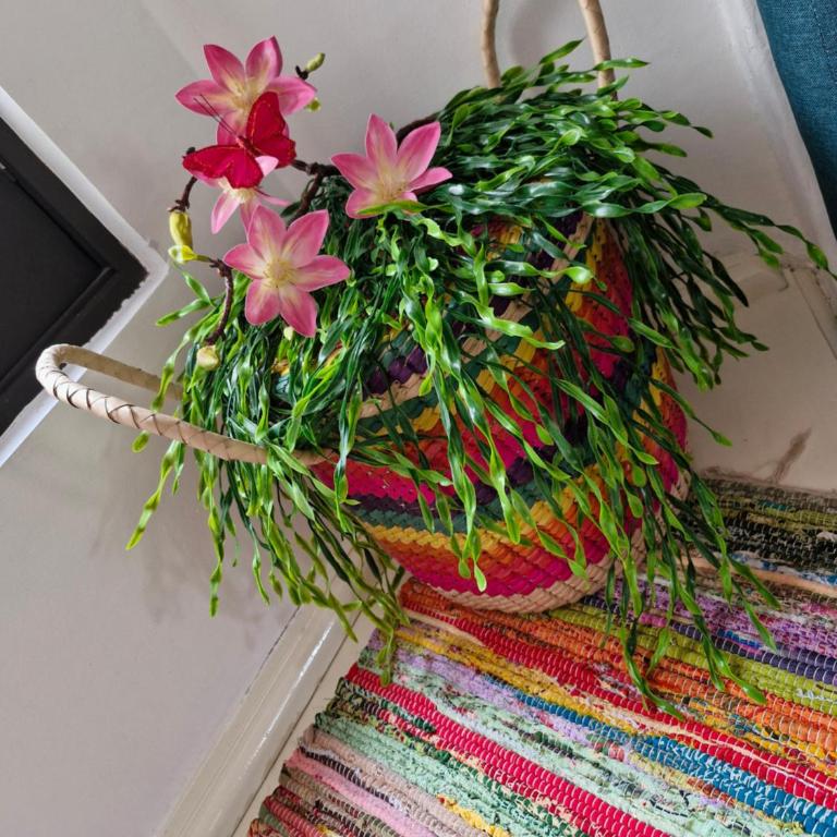 Jungle Room - One-Bedroom Apartment - 31