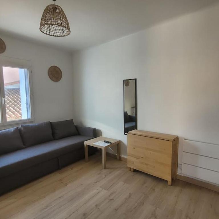 Le Camargue - Appartement 1 Chambre - 21