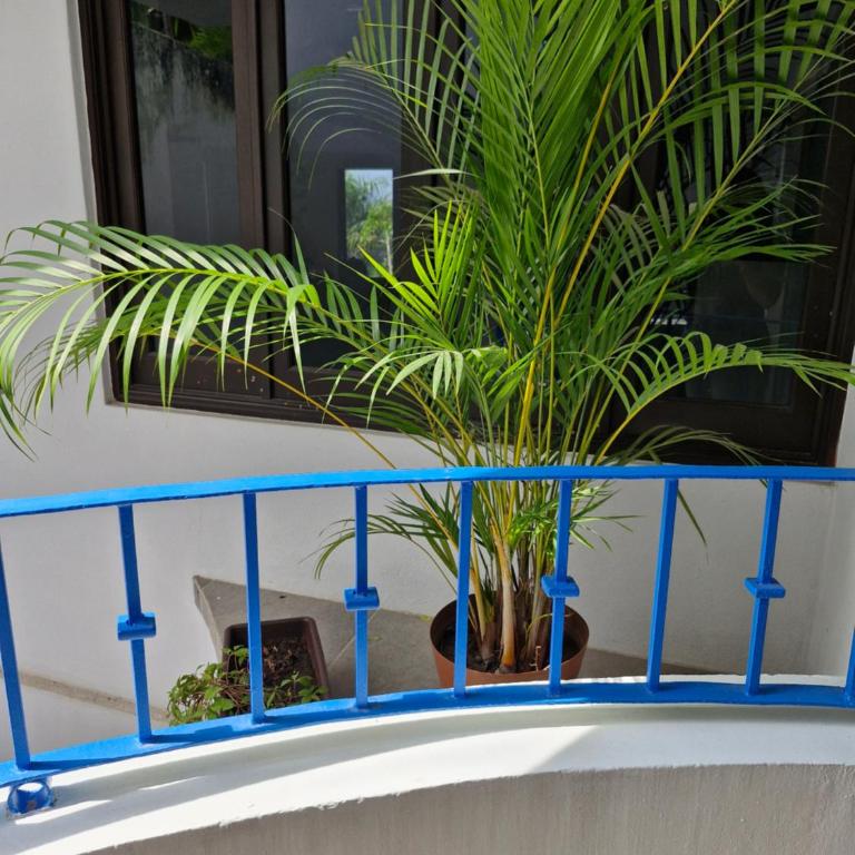 Paradise Room - One-Bedroom Apartment - 5