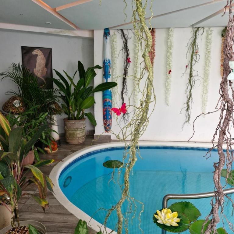 Paradise Room - One-Bedroom Apartment - 6