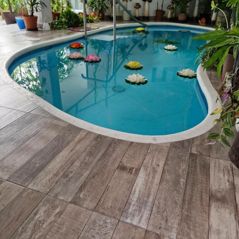 Paradise Room - One-Bedroom Apartment - 12
