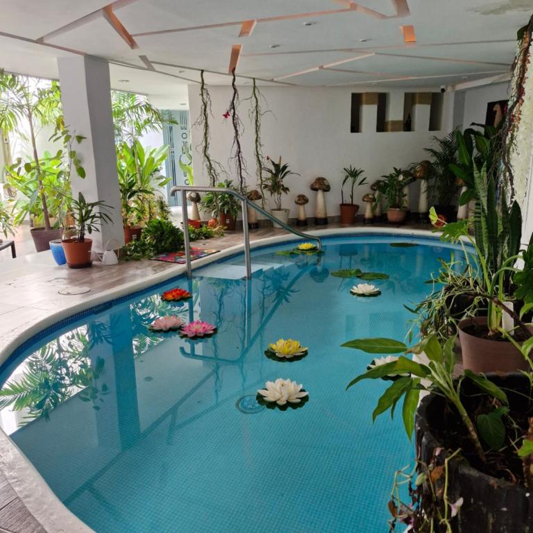 Paradise Room - One-Bedroom Apartment - 18