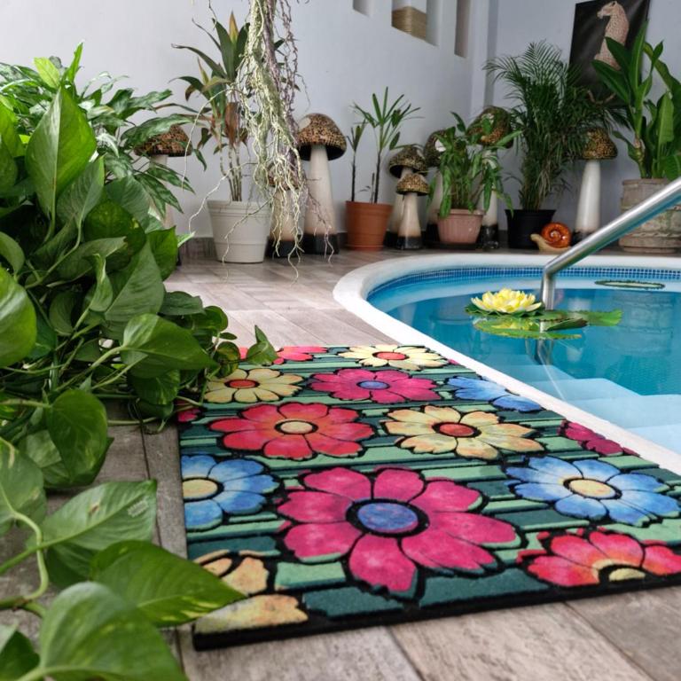 Paradise Room - One-Bedroom Apartment - 25