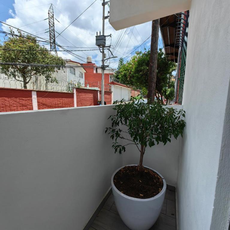 Tranquila casa - Casa de 2 dormitorios - 40