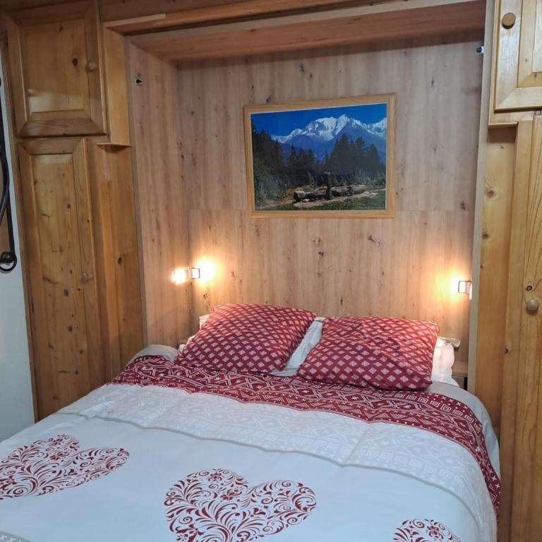 A4 km de Megève très joli studio avec jacuzzi ,vue sur les montagnes au calme - Studio - 5