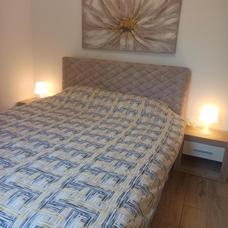 Apartman Maksimović Divčibare - Apartman s 1 Spavaćom Sobom i Terasom - 11