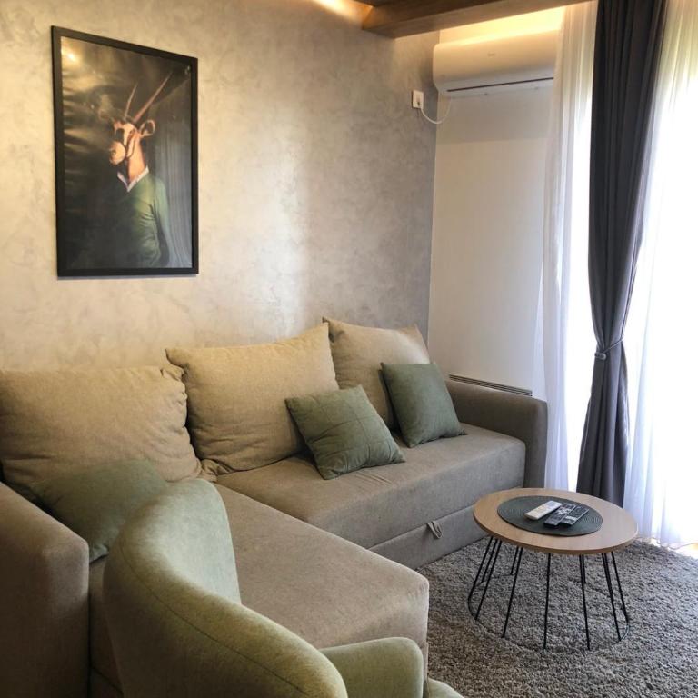 Julia Centar Zlatibor - One-Bedroom Apartment - 7
