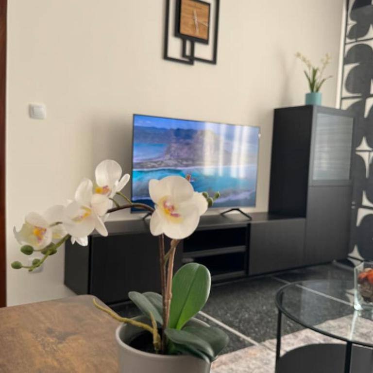 Casa Aurora - Appartamento con 3 Camere da Letto - 24