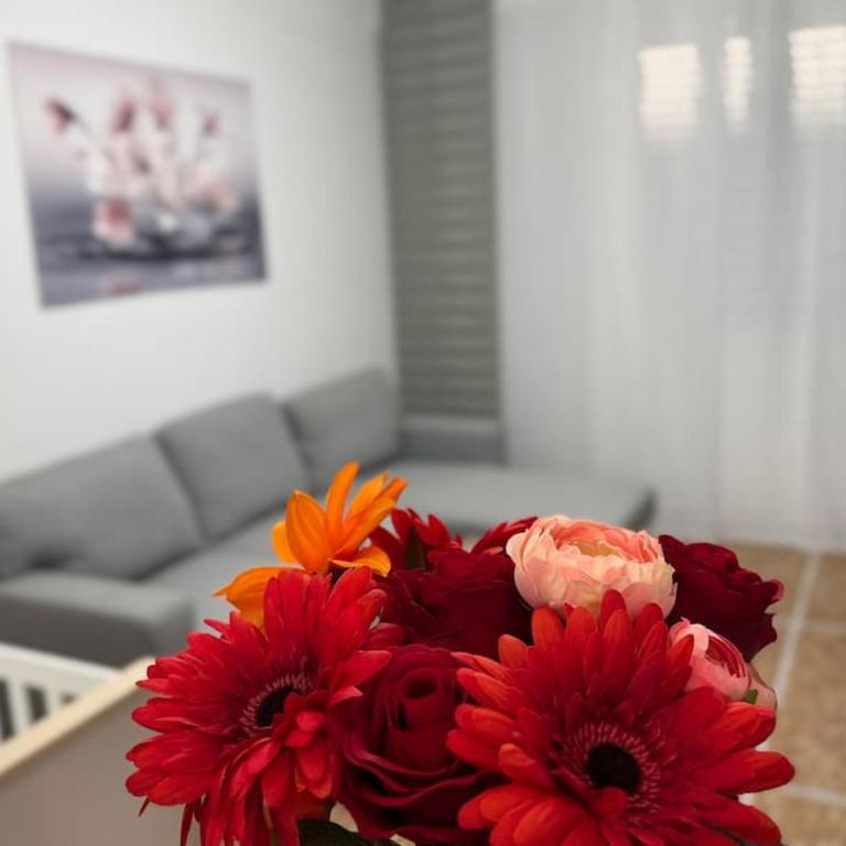 Casa Aurora - Appartamento con 3 Camere da Letto - 6