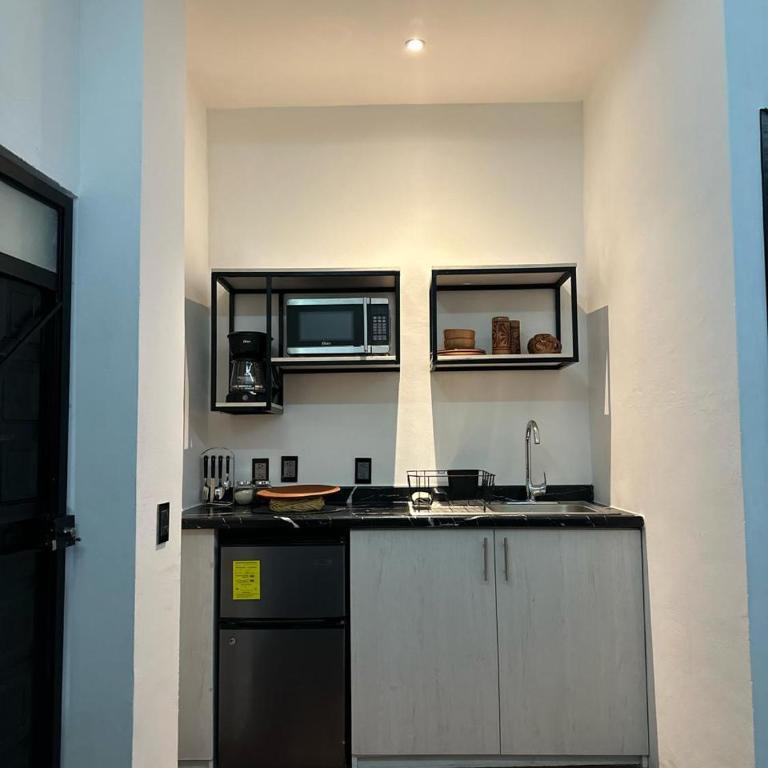 Casa Don José TULIPANES Suite - Apartamento de 1 dormitorio - 16
