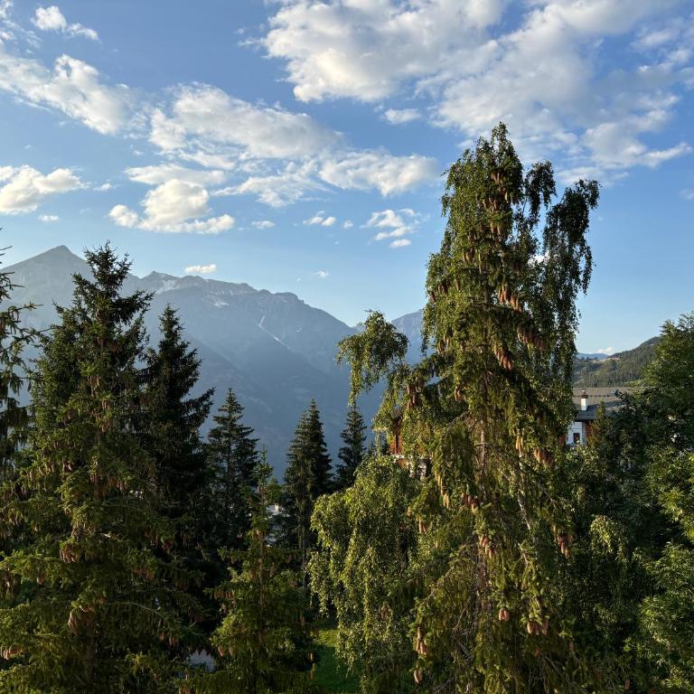 Rifugio tra le stelle AV - cozy top floor terrace apt with mountain views - Monolocale Familiare - 31