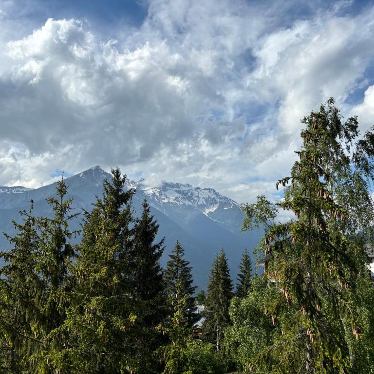 Rifugio tra le stelle AV - cozy top floor terrace apt with mountain views - Monolocale Familiare - 33