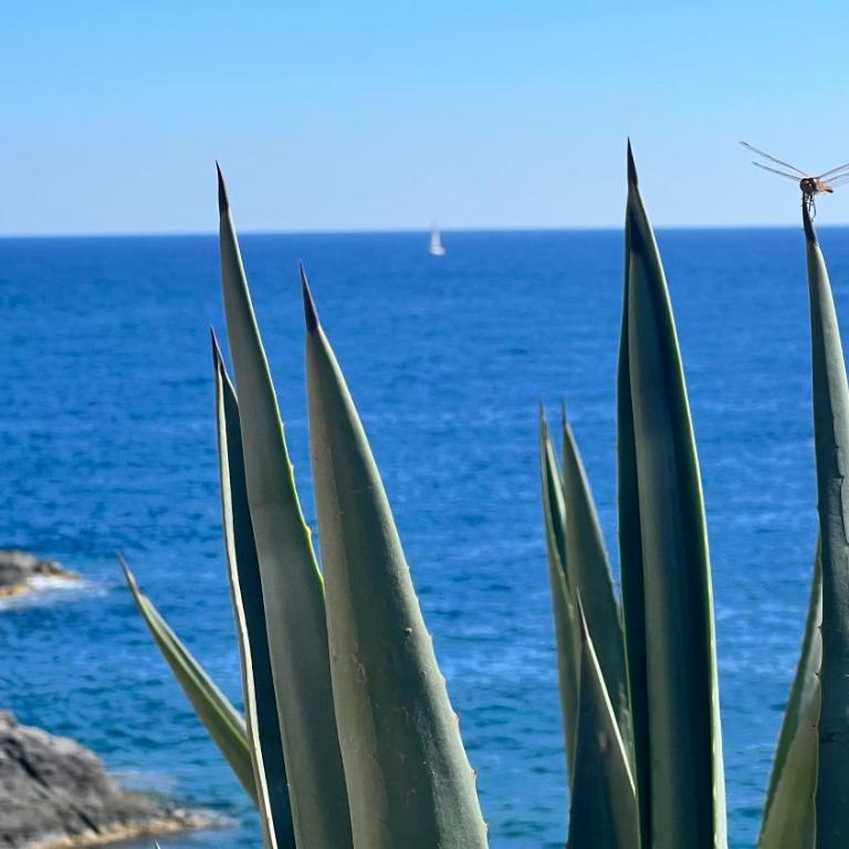 Turquesa del Mar - Charming Ground-Floor Spanish Apartment with Large Sunny Terrace - Apartamento de 2 dormitorios - 26