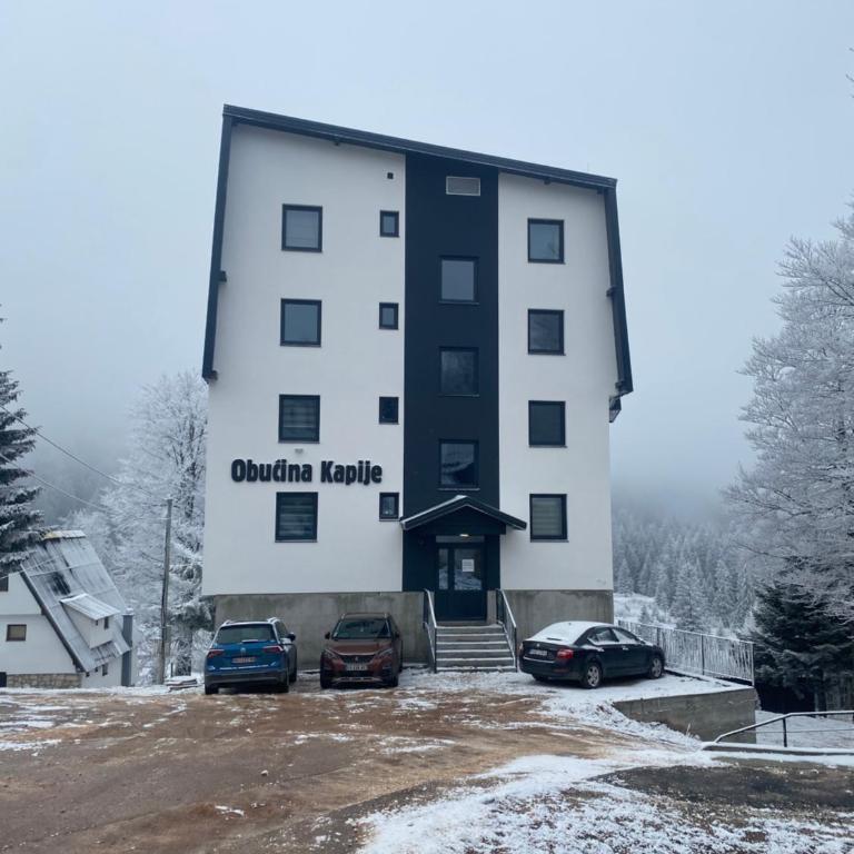 Antora Jahorina - One-Bedroom Apartment - 12