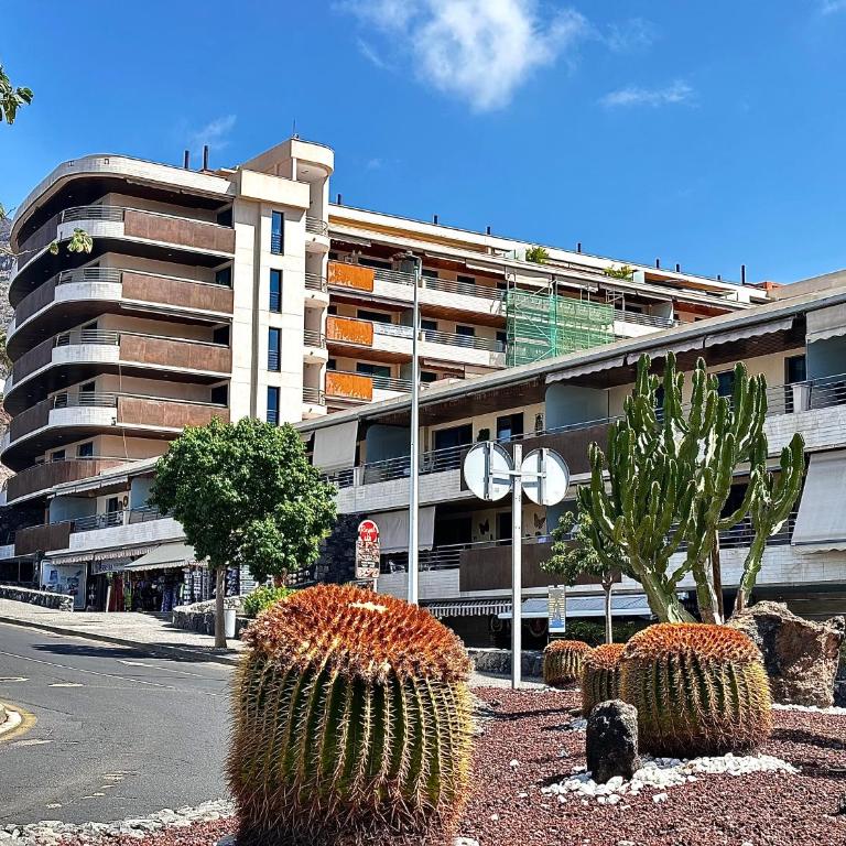 Blue Horizon Studio - Apartamento de 1 dormitorio - 22