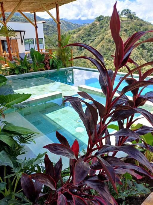 Piscina-paisaje-calma y confort-Villa Luz de luna - Villa de 3 dormitorios - 34