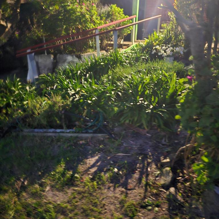 Zamora - Casa con 1 dormitorio - 5