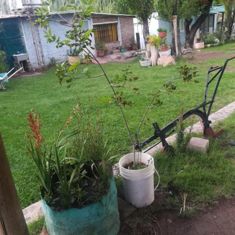 Fox Den - Casa de 2 dormitorios - 10
