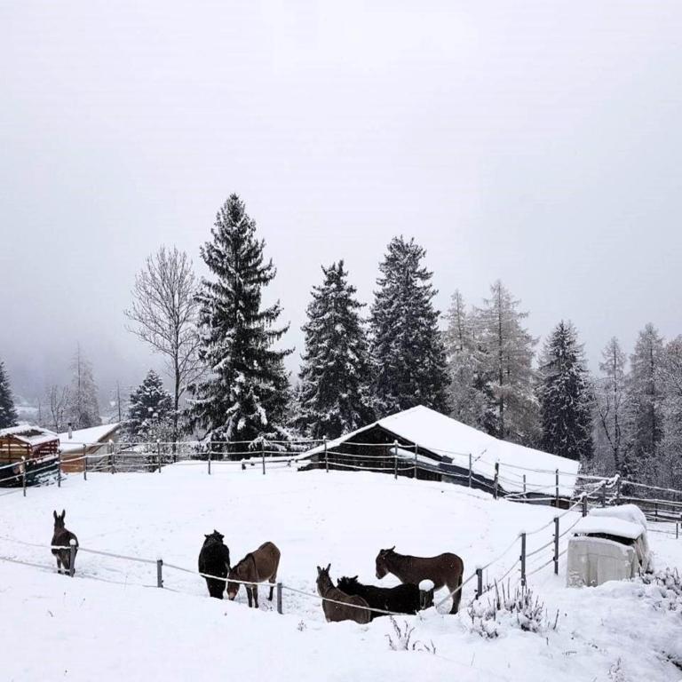 Chalet Verrel near Aletsch Ski Gondolas - Ferienhaus mit 2 Schlafzimmern - 40