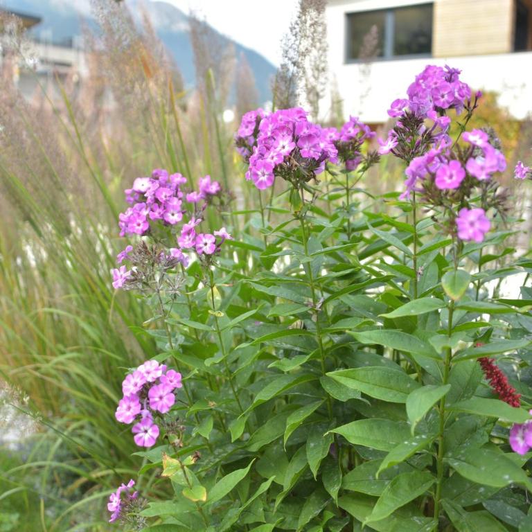 Chalet in Fulpmes near Stubai Glacier Skiing - Apartment mit 1 Schlafzimmer - 29