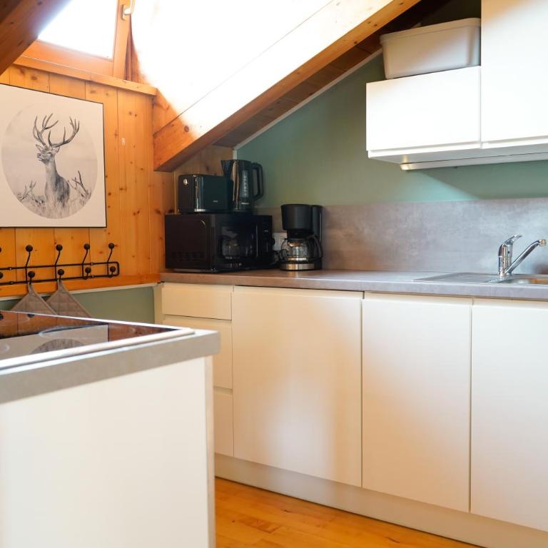 Haus Schrettl Hintergrünholz - Apartamento de 2 dormitorios con balcón - 17
