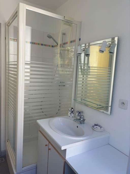 Charmant T2bis, belle vue centre - Apartment mit 1 Schlafzimmer und Aussicht - 12