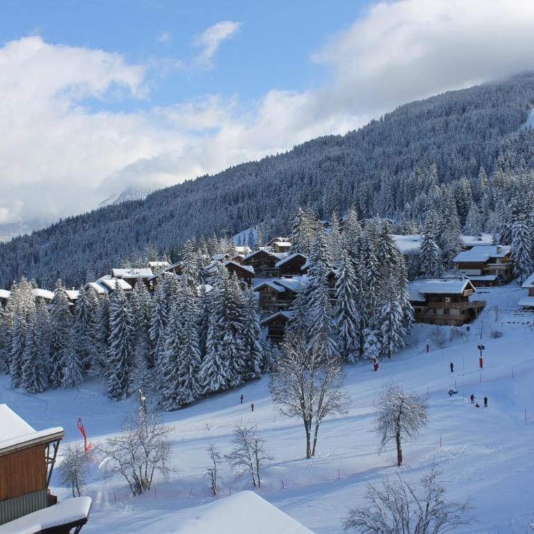 Résidence Atrey 403 Clés Blanches Courchevel - Apartment mit 1 Schlafzimmer - 10