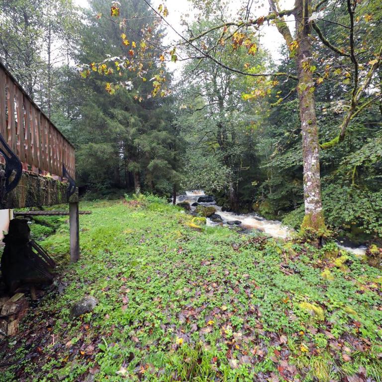 L'Eau Vive - Une oase à 5 minutes de Gérardmer - Maison 3 Chambres - 13