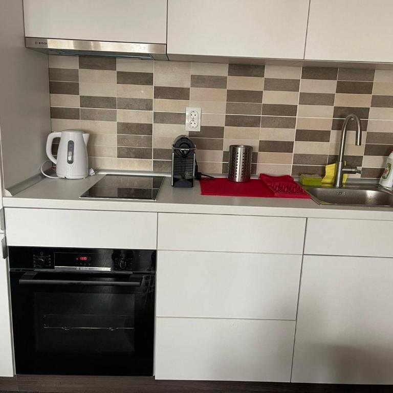 APARTMAN broj 9, SUNČANI BREG RESORT & SPA - One-Bedroom Apartment with Balcony and Mountain View - 3